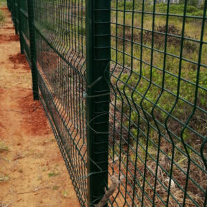 Anti climb Black/Green